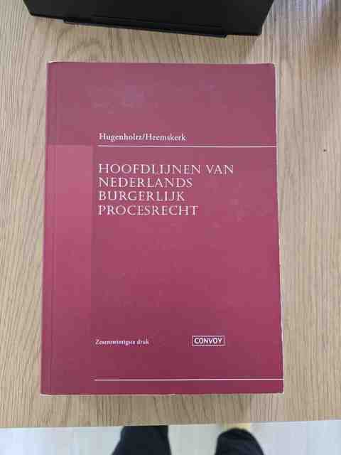 9789463173001-Hoofdlijnen-van-Nederlands-Burgerlijk-Procesrecht