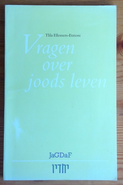 9789090112336-Vragen-over-Joods-leven