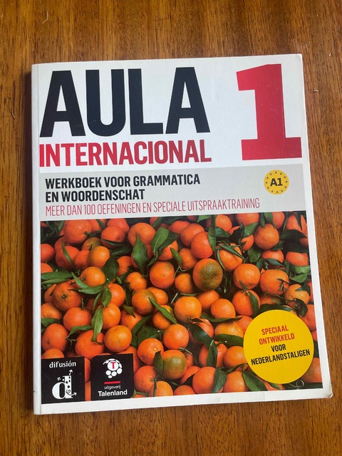 9789463250078-Aula-Internacional-1--Werkboek-voor-grammatica-en-woordenschat--Talenland-versie-A1