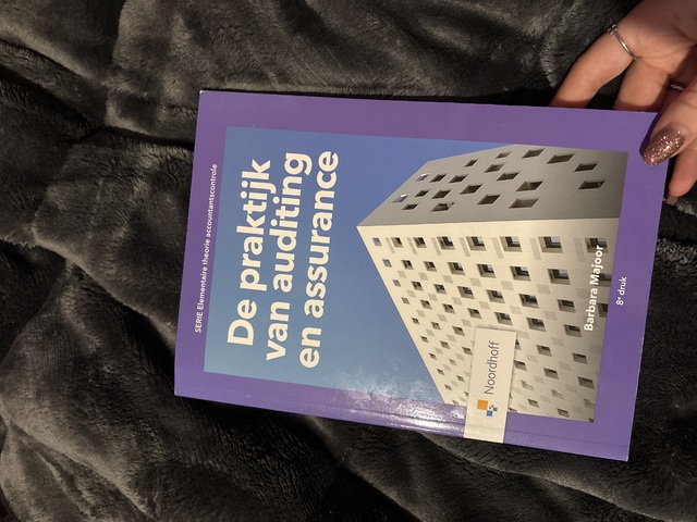 9789001738730-De-praktijk-van-auditing-en-assurance