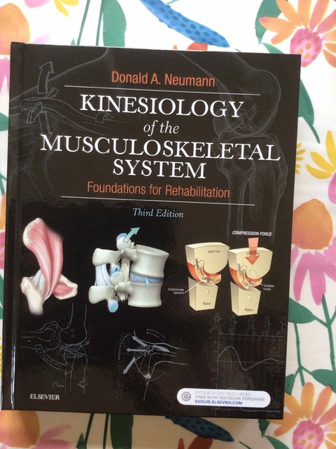 9780323287531-Kinesiology-of-the-Musculoskeletal-System