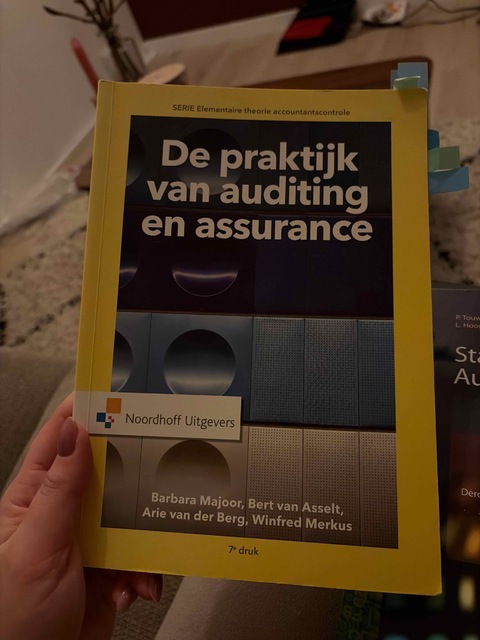 9789001867126-De-praktijk-van-auditing-en-assurance