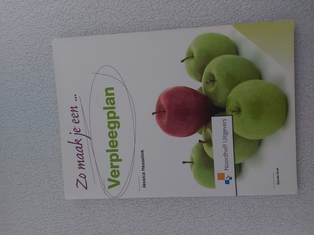 9789001804961-Zo-maak-je-een-verpleegplan