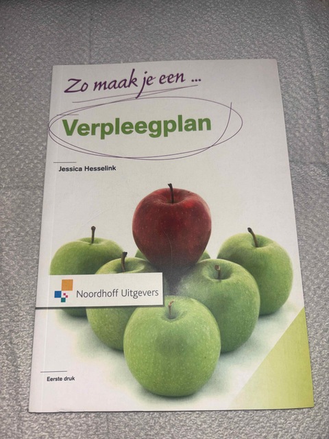 9789001804961-Zo-maak-je-een-verpleegplan