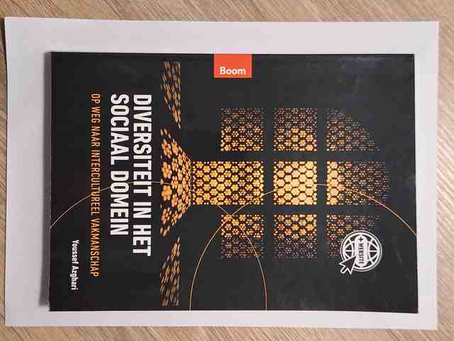 9789024402038-Diversiteit-in-het-sociaal-domein