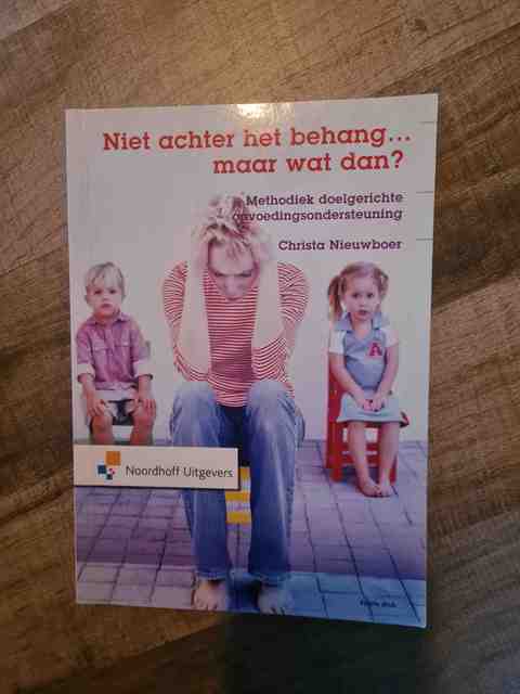 9789001785079-Niet-achter-het-behang...-maar-wat-dan