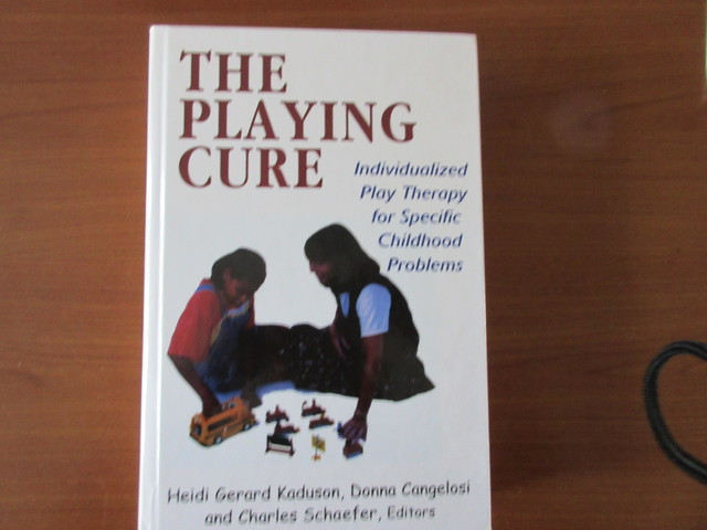 9780765700216-The-Playing-Cure