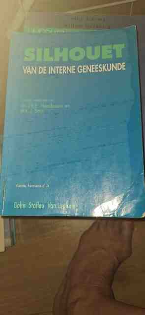 9789031317509-Silhouet-van-de-interne-geneeskunde-druk-4