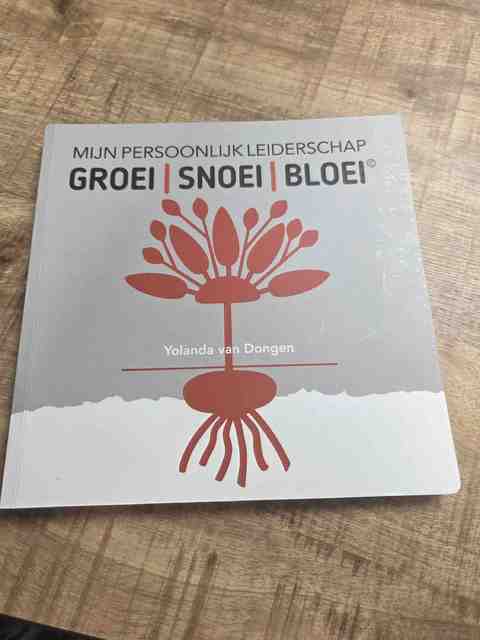 9789083146300-Mijn-persoonlijk-leiderschap