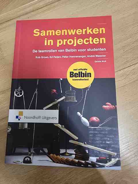 9789001850180-Samenwerken-in-projecten