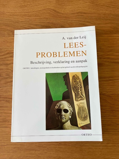 9789056371234-Leesproblemen