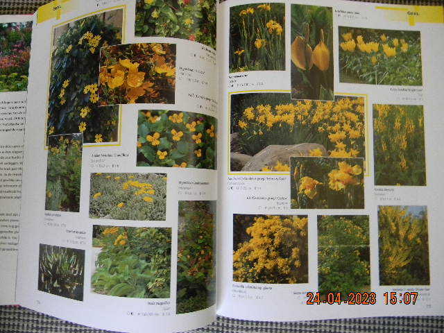 9789021589763-Tuinplantenencyclopedie-op-kleur