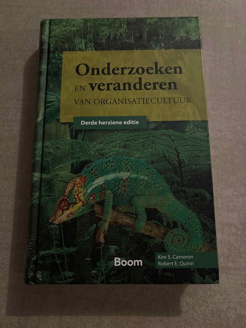 9789052618890-Onderzoeken-en-veranderen-van-organisatiecultuur