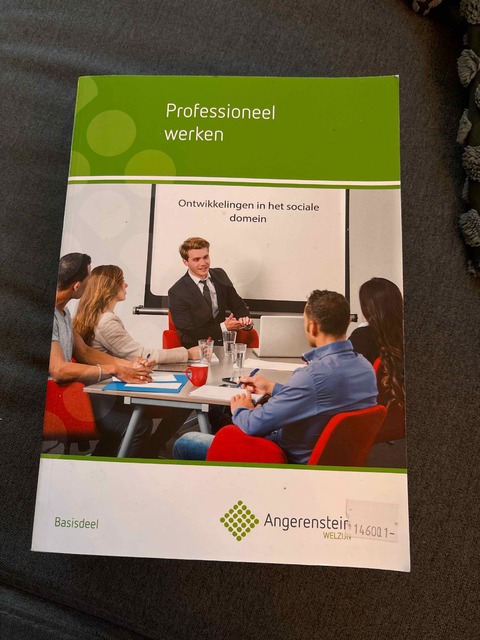 9789037223637-Professioneel-werken