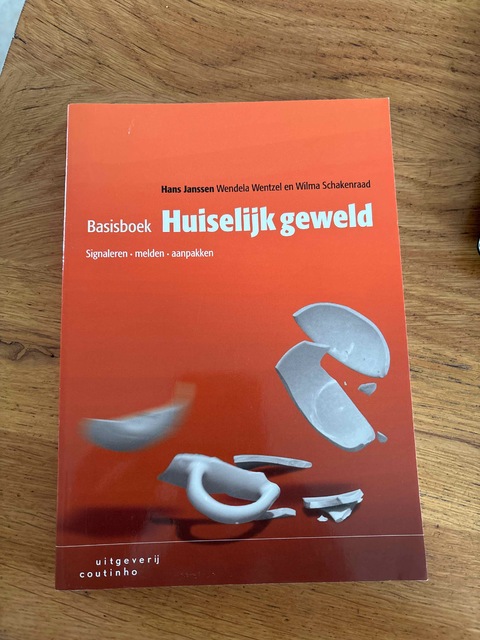 9789046906576-Basisboek-huiselijk-geweld