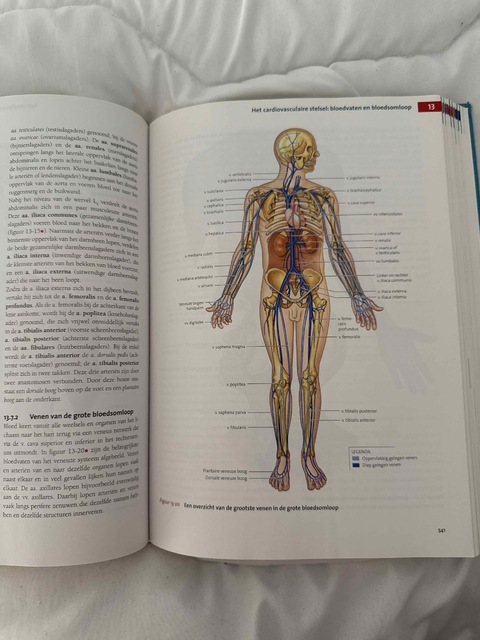 9789043035873-Anatomie-en-fysiologie-een-inleiding