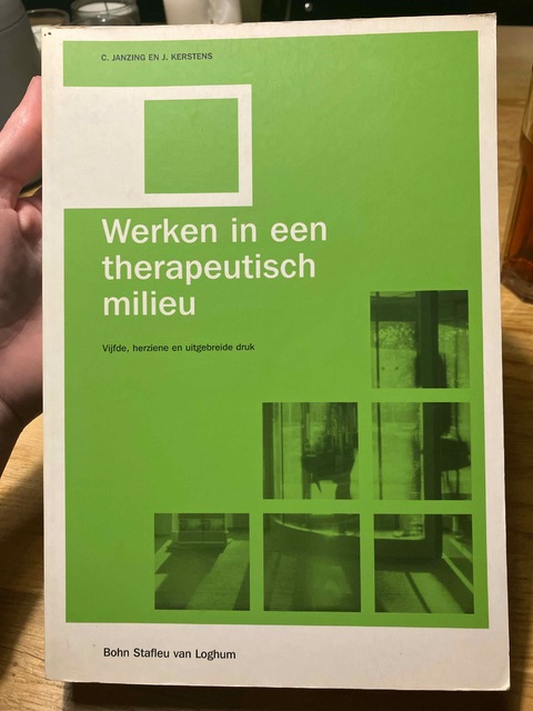 9789031342846-Werken-in-een-therapeutisch-milieu