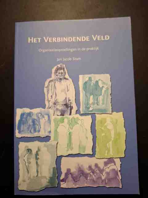 9789077290026-Het-verbindende-veld