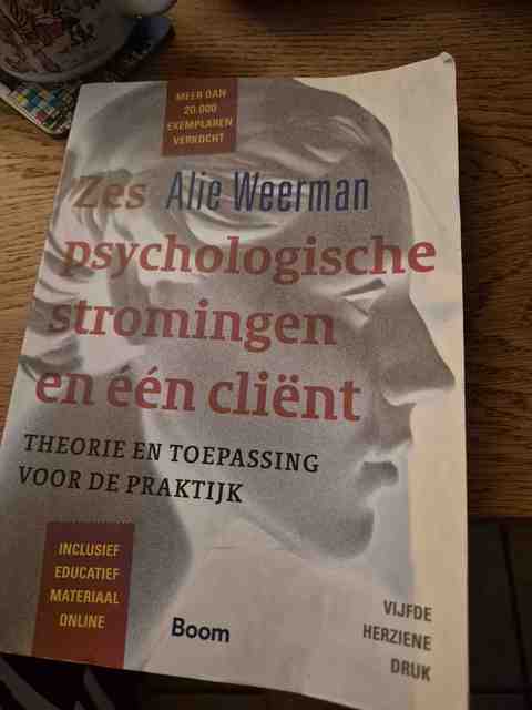 9789024402465-Zes-psychologische-stromingen-en-een-client