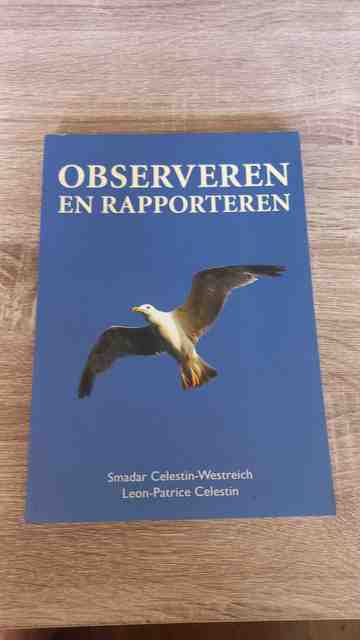 9789043012997-Observeren-en-rapporteren
