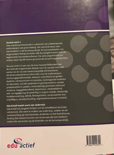 9789037229622-Sociaal-werk-2
