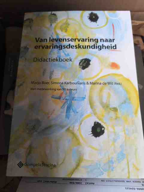 9789463710398-Van-levenservaring-naar-ervaringsdeskundigheid