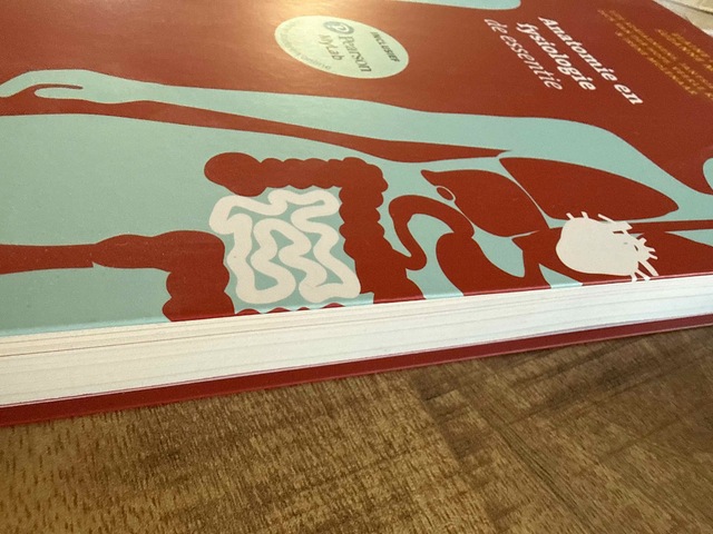 9789043040181-Anatomie-en-fysiologie-de-essentie