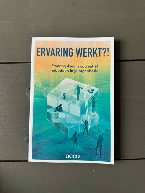 9789463798266-Ervaring-werkt