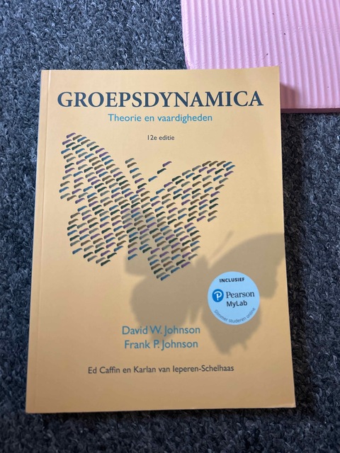 9789043037808-Groepsdynamica