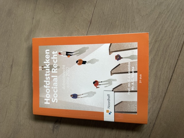 9789001299071-Hoofdstukken-sociaal-recht-2022