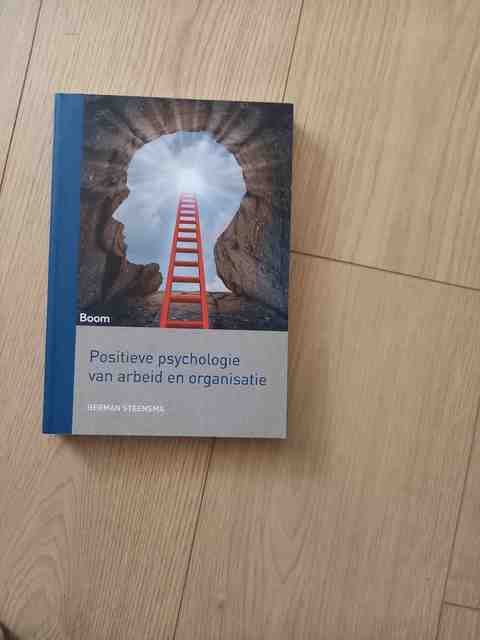 9789089539960-Positieve-psychologie-van-arbeid-en-organisatie