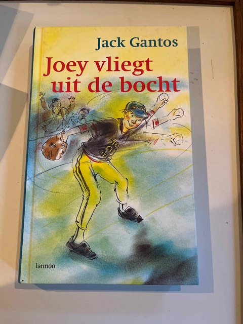 9789020942996-Joey-vliegt-uit-de-bocht