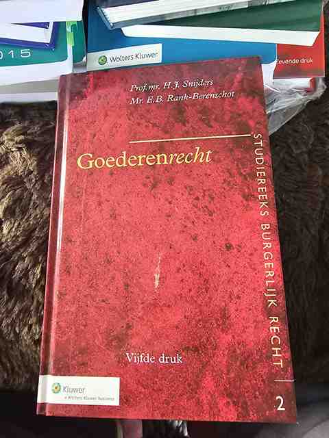9789013085235-Goederenrecht