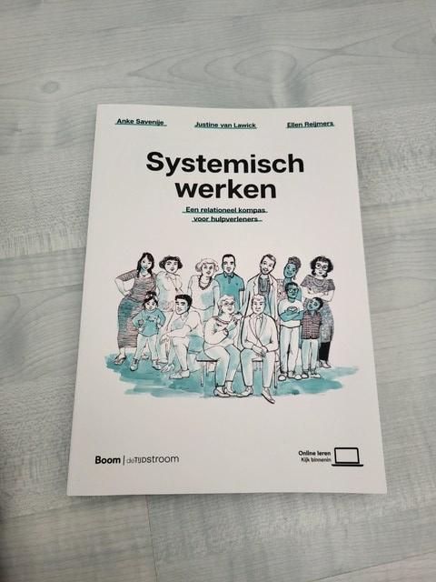9789058983169-Systemisch-werken