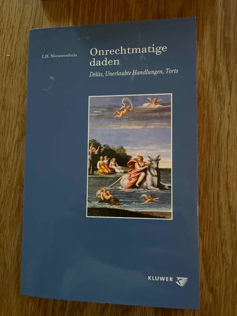 9789013004953-Onrechtmatige-daden-druk-1