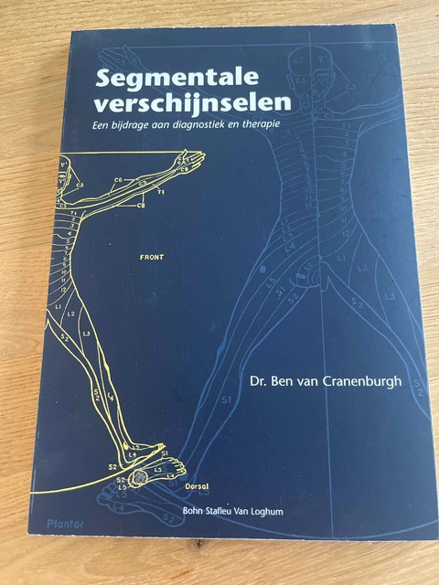 9789031343188-Segmentale-verschijnselen