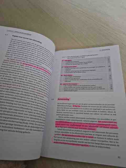 9789046903100-Crossculturele-psychologie