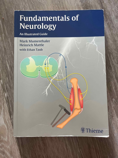 9783131364517-Fundamentals-Of-Neurology