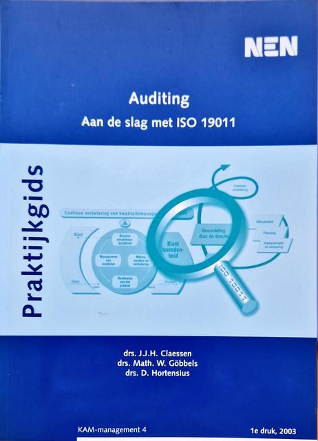 9789052540924-Auditing