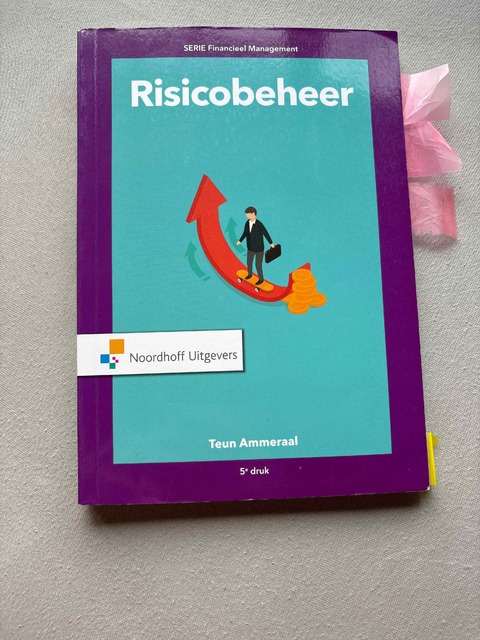 9789001889067-Risicobeheer