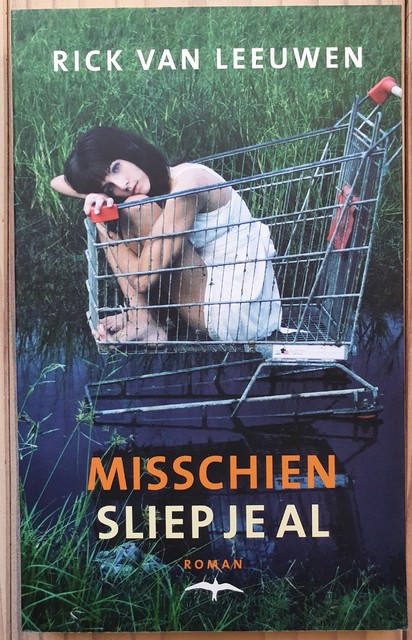 9789060058930-Misschien-sliep-je-al