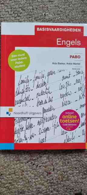 9789001817251-Basisvaardigheden-Engels-voor-de-Pabo
