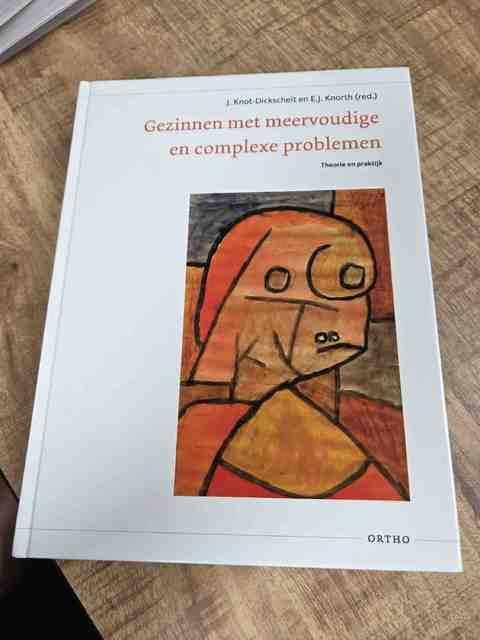 9789047711681-Gezinnen-met-meervoudige-en-complexe-problemen