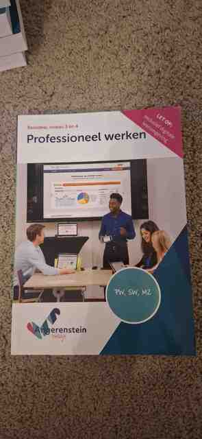 9789037254372-NIEUW-BOEK-Professioneel-werken