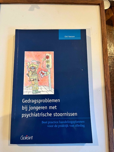9789044122435-Gedragsproblemen-bij-jongeren-met-psychiatrische-stoornissen