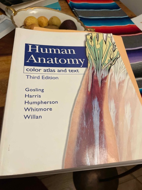 9780723426578-human-anatomy