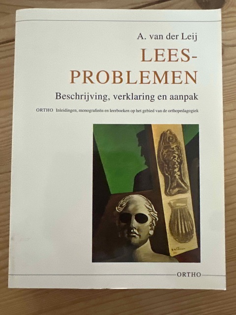9789056371234-Leesproblemen