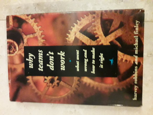 9781560794974-Why-teams-dont-work--A10