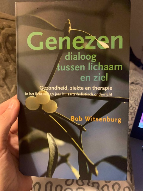 9789077944080-Genezen-Gezondheid-Ziekte-en-Therapie