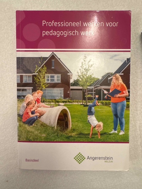 9789037244069-Professioneel-werken-voor-pedagogisch-werk-Basisdeel